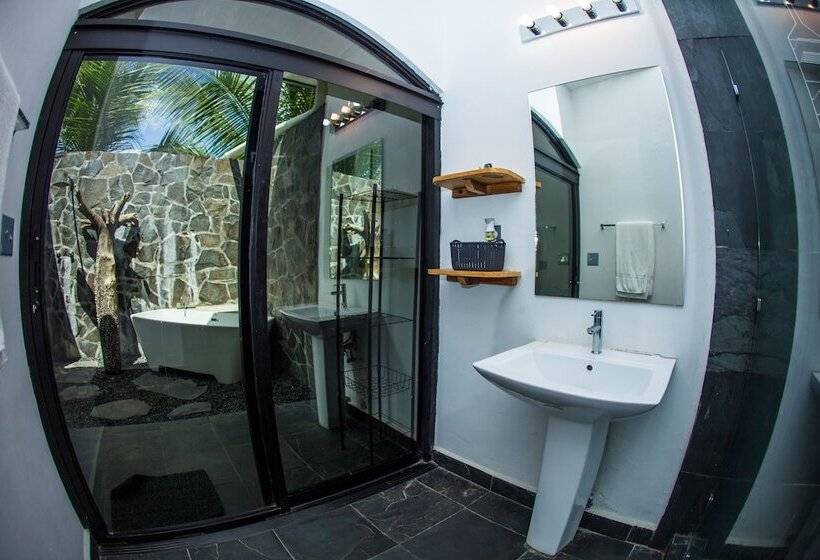 Отель Show Pony Beach Resort