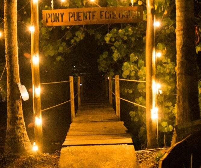 호텔 Show Pony Beach Resort