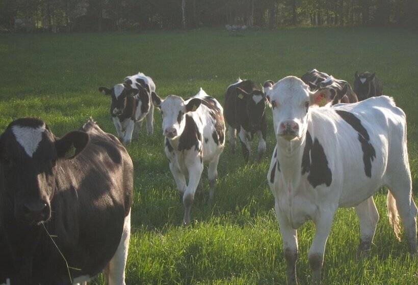 בית מלון כפרי Sikhalls Camping Och Restaurang