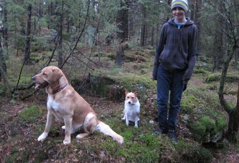 בית מלון כפרי Sikhalls Camping Och Restaurang