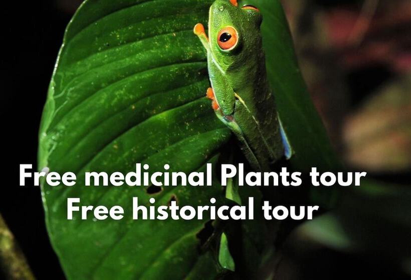 فندق Tapir Lodge