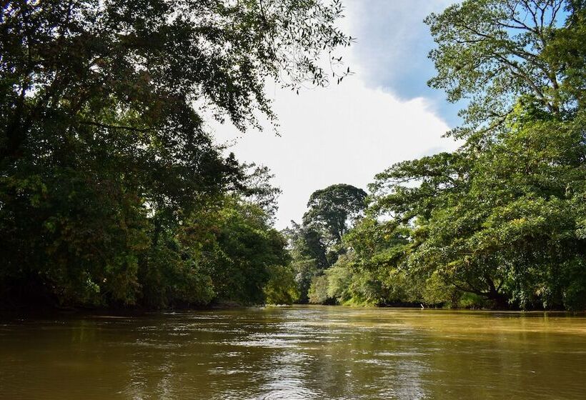 فندق Tapir Lodge