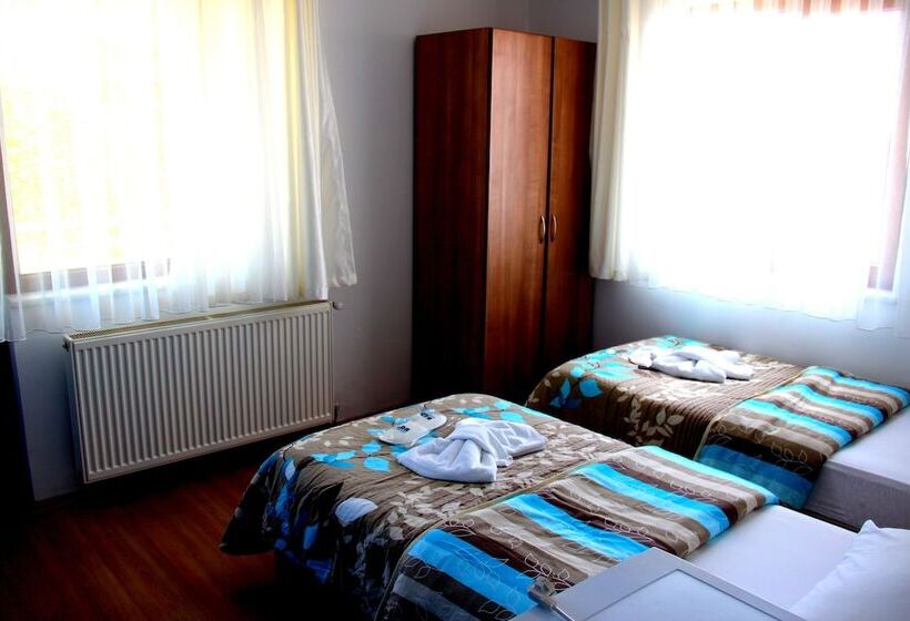 فندق Turhan Pansiyon