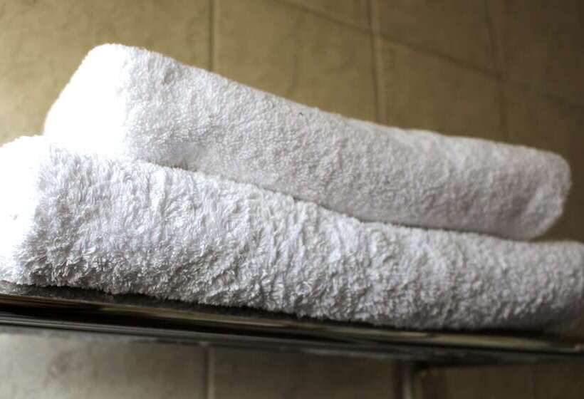 בית מלון כפרי Ventura Chillan