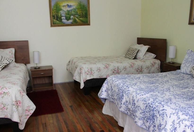 בית מלון כפרי Ventura Chillan