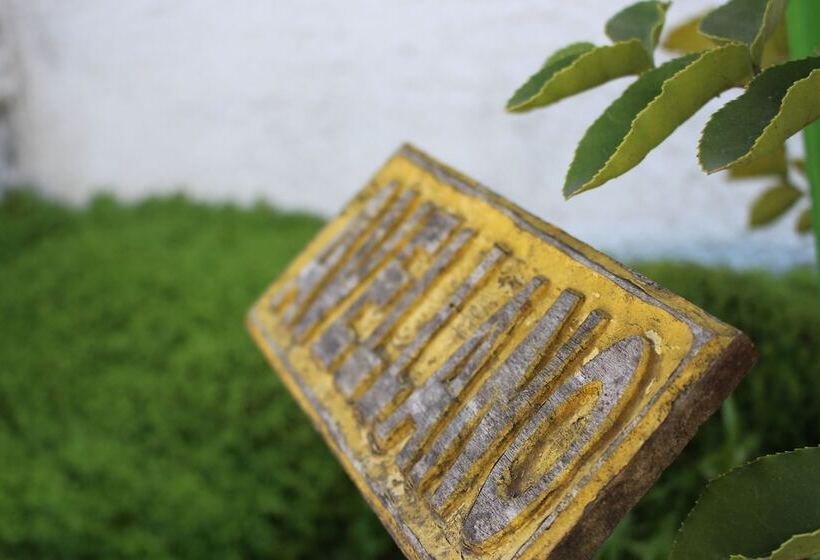 בית מלון כפרי Ventura Chillan