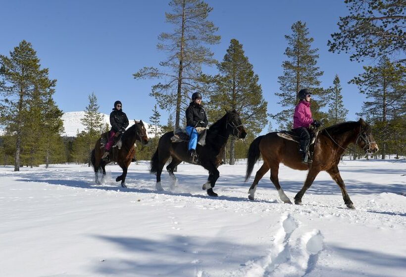 Idre Fjäll Stugor Och Lägenheter