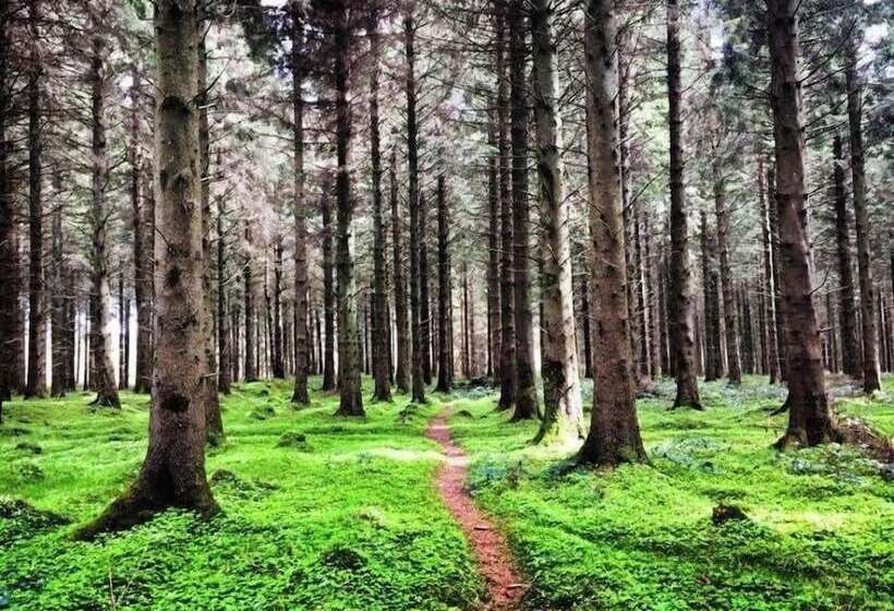 Lakeview Lodge Bed And Breakfast