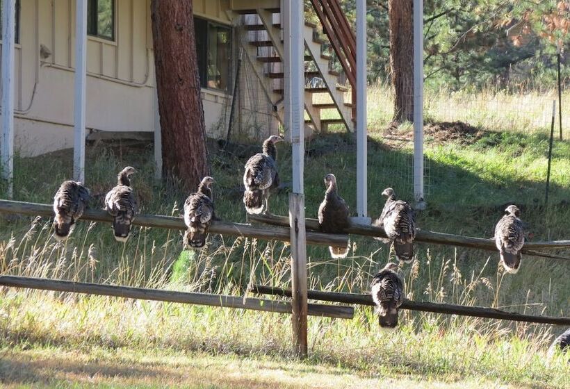 Lazy Elk Retreat 3 Br Cabin