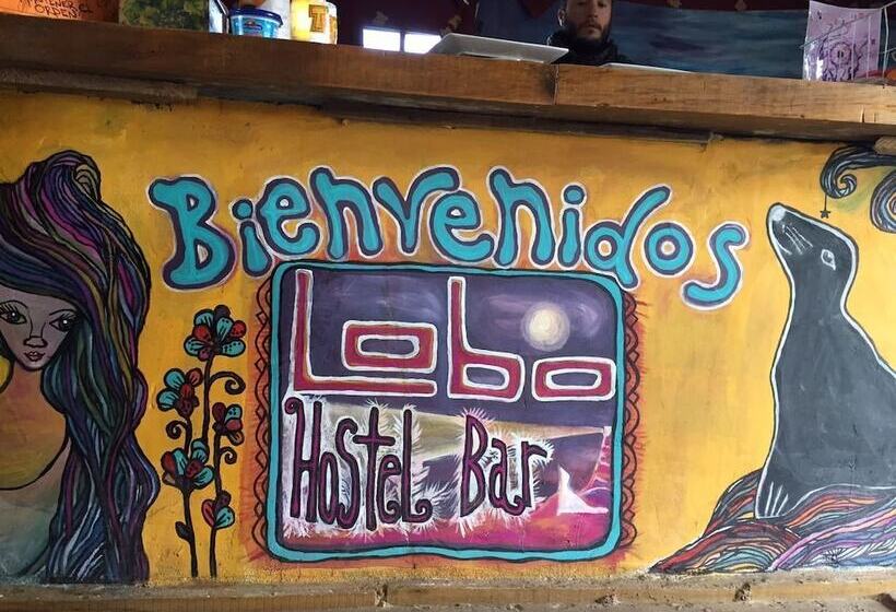 Lobo Hostel Bar