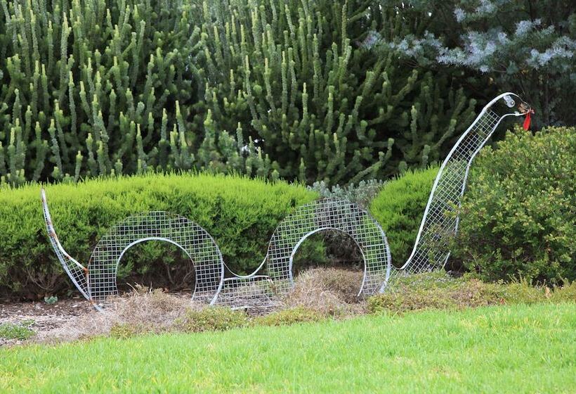 Lochnagar Barossa   Adults Only