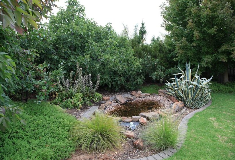 Lochnagar Barossa   Adults Only