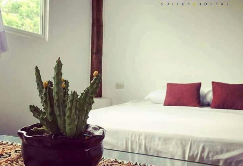 Mauna Suites And Hostal   Hostel