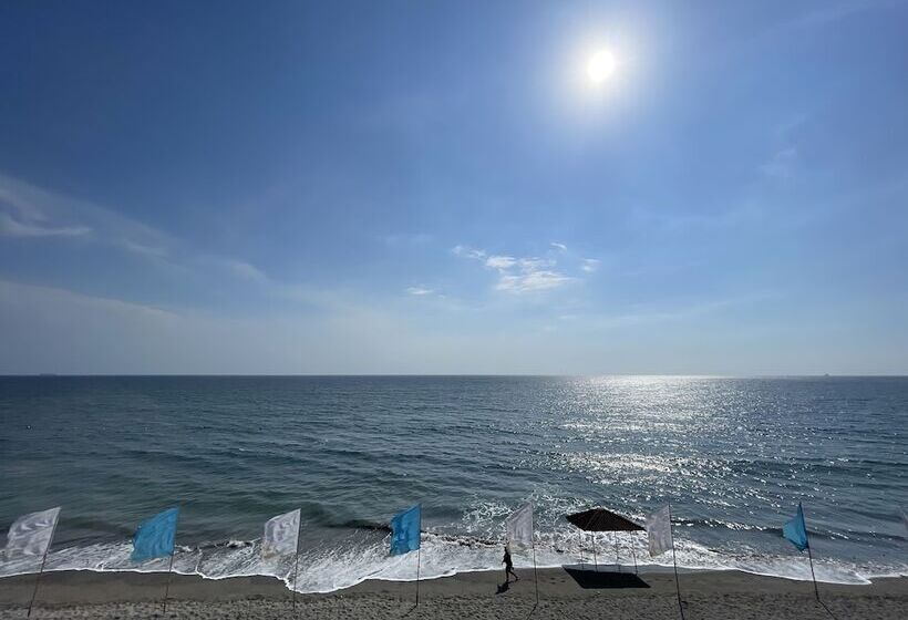 בית מלון כפרי Miami Heat Beach Resort