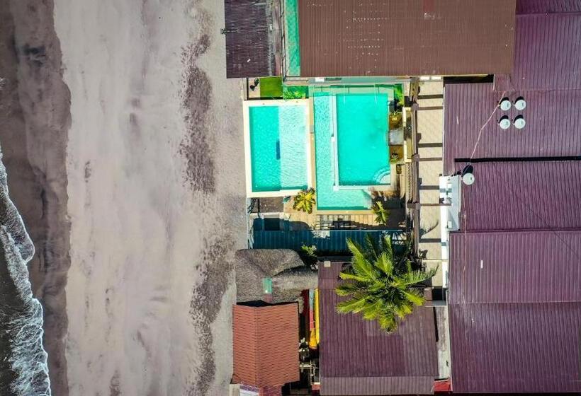 בית מלון כפרי Miami Heat Beach Resort