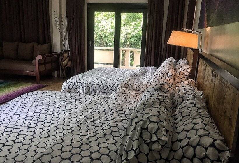 Pensão Aloe De Diniwid