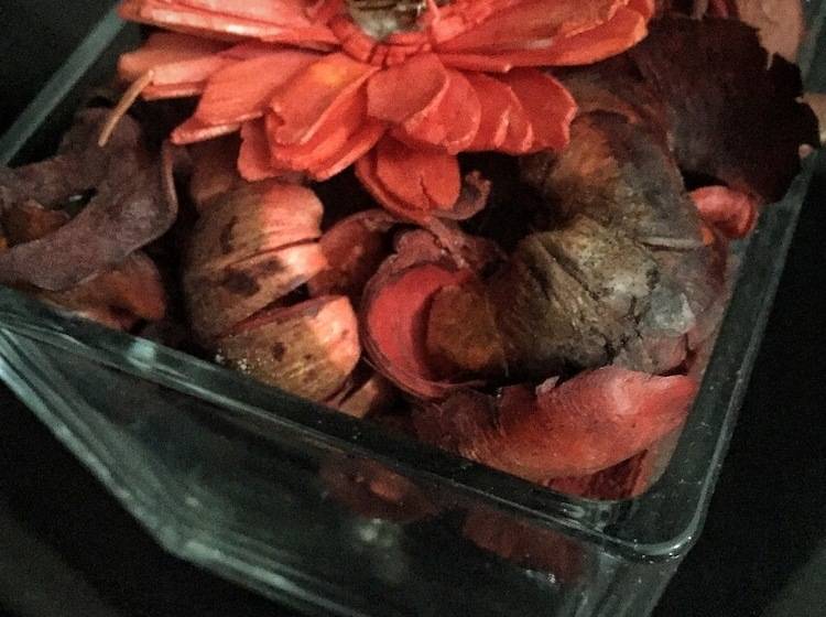 Pensão Aloe De Diniwid