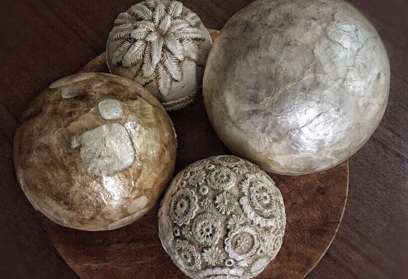 Pensão Aloe De Diniwid