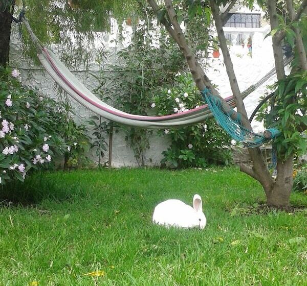 פנסיון Alojamiento Vertientes Del Imbabura