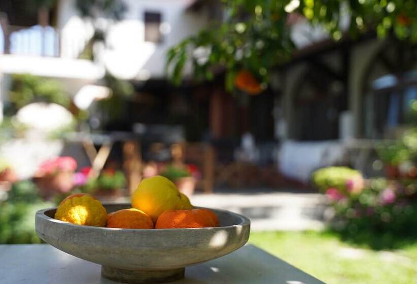 膳宿费 Alterra Vita