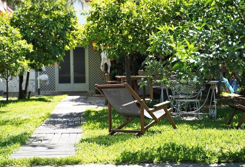 膳宿费 Alterra Vita