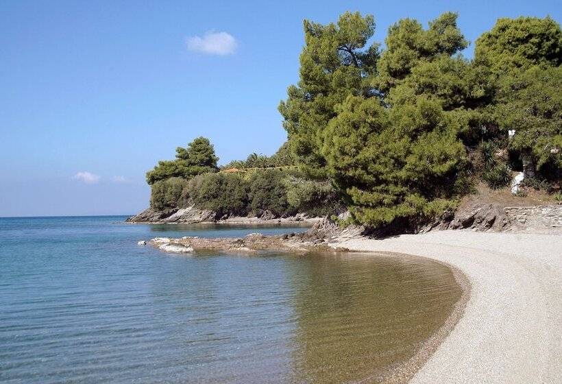 膳宿费 Alterra Vita