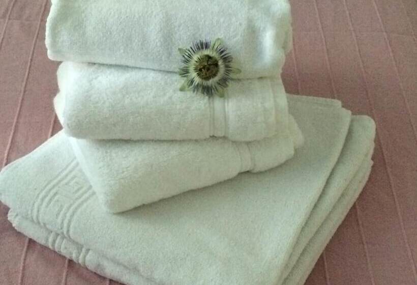 Пансион Chambres Les Passiflores