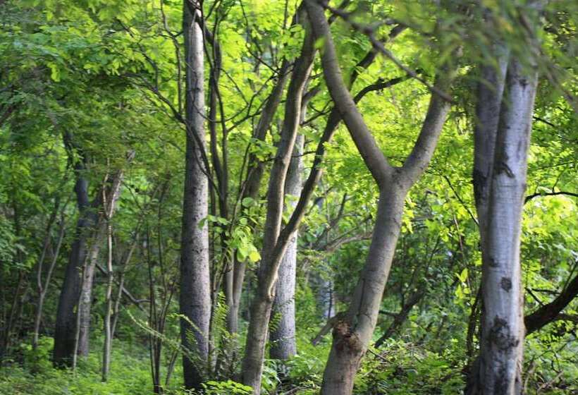 پانسیون Chawpi Lodge