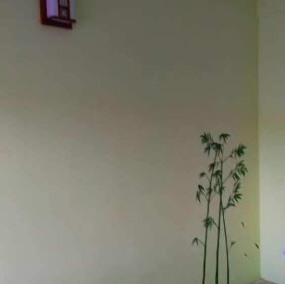 Пансион Classic Oriental