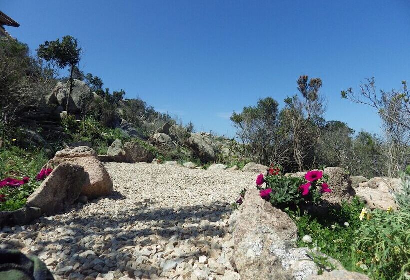 פנסיון La Cera Farm Camping B&b