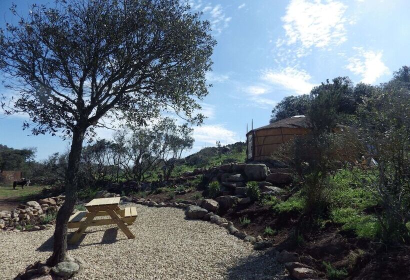 פנסיון La Cera Farm Camping B&b