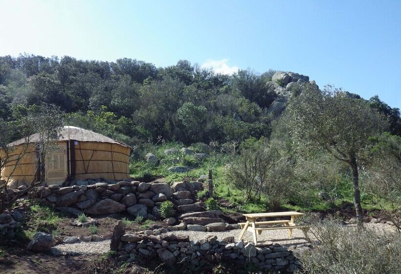 פנסיון La Cera Farm Camping B&b