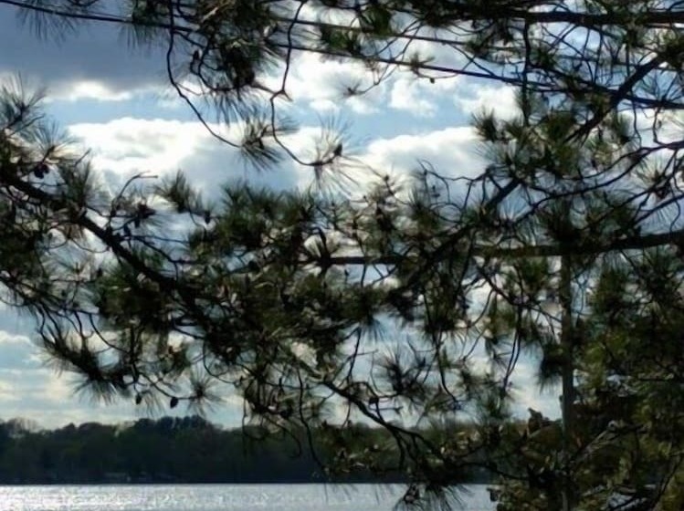 بنسيون Lake Ripley Lodge W Lake Front Rooms, Grand Porch, Kayaks & Paddleboard