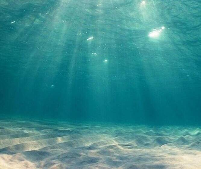 膳宿费 Mcmill House