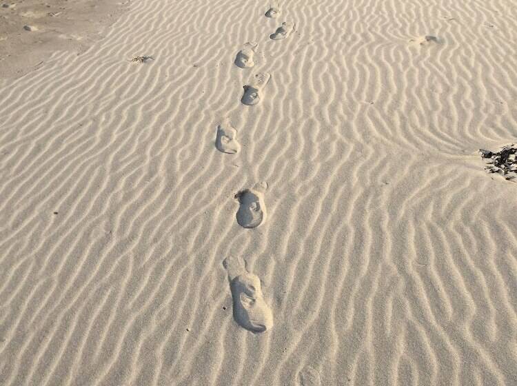 膳宿费 Mcmill House