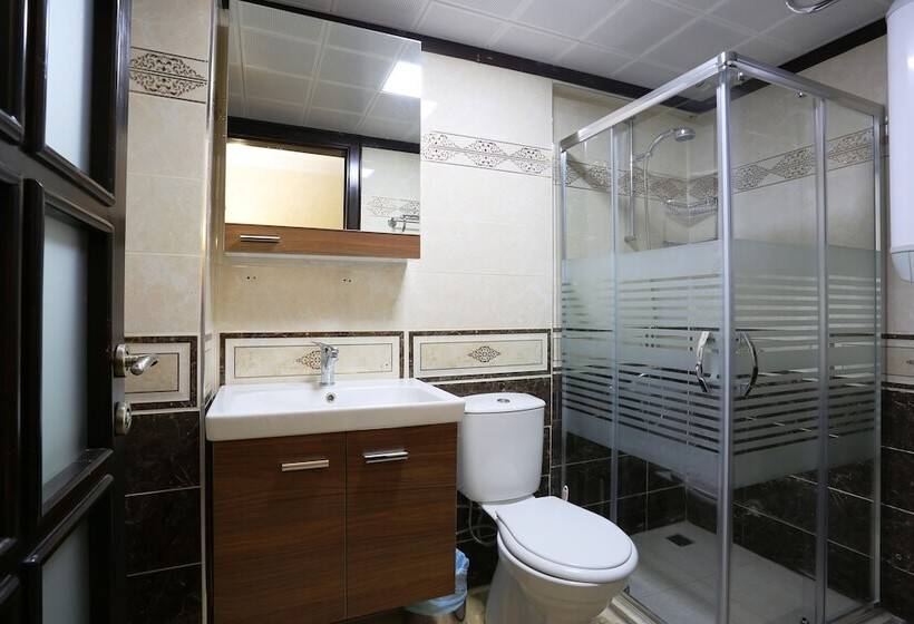 Pensionat Mercan Apart