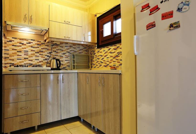 Pensionat Mercan Apart