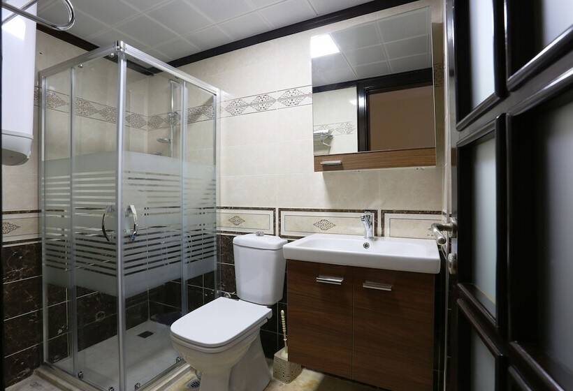 Pensionat Mercan Apart