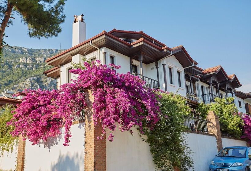 Pensionat Mercan Apart