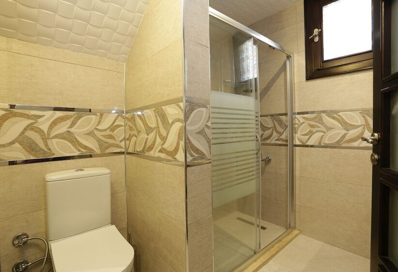 Pensionat Mercan Apart