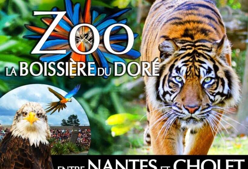 膳宿费 Moine Passion