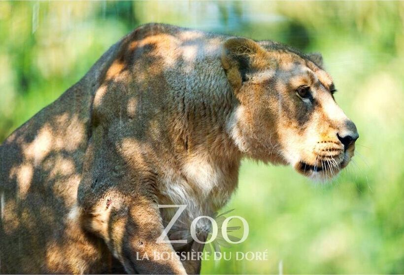 膳宿费 Moine Passion