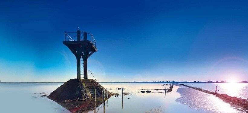 膳宿费 Moine Passion