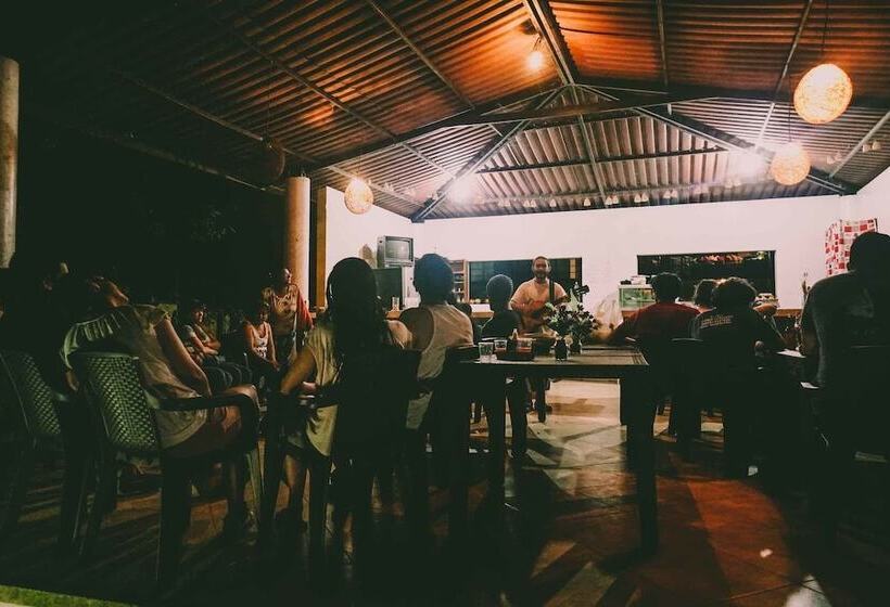 پانسیون New Western