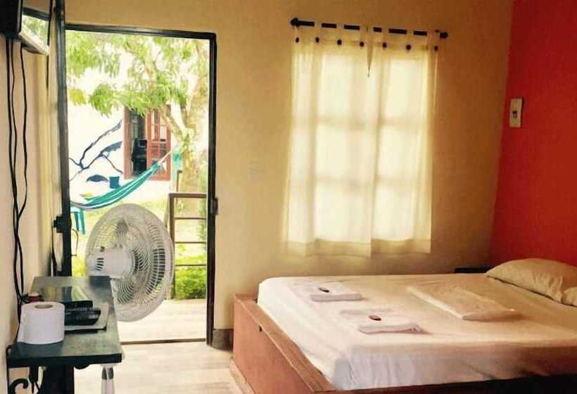 پانسیون New Western