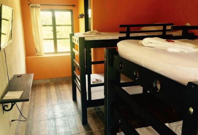 بنسيون New Western