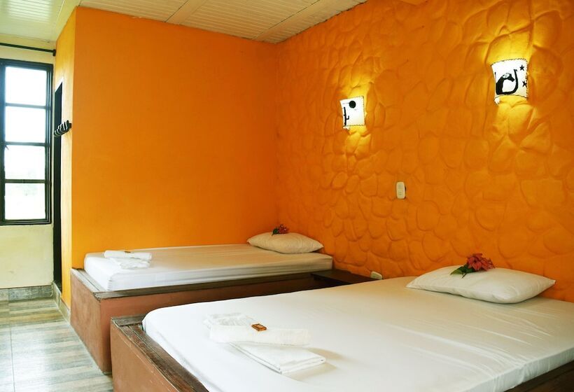 بنسيون New Western