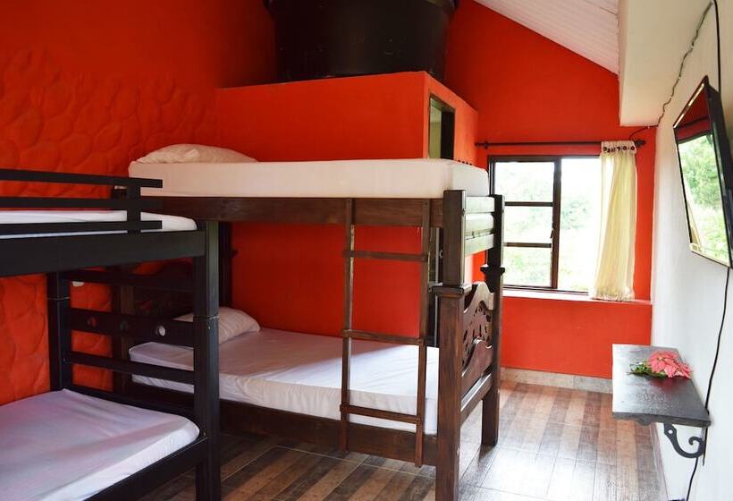 بنسيون New Western