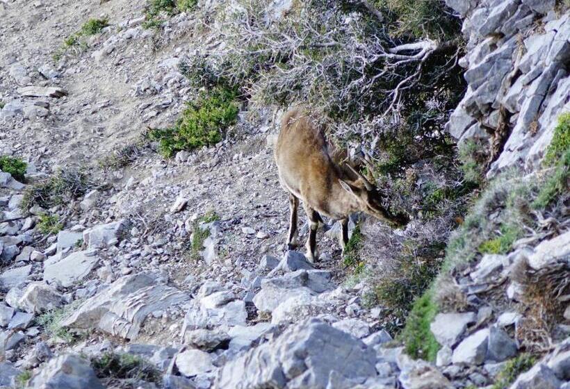 ペンション Paralia Guest House