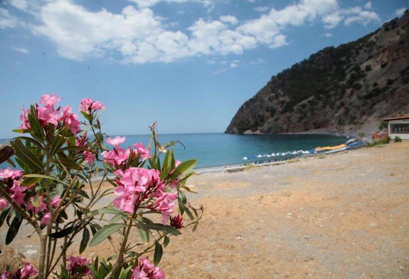 ペンション Paralia Guest House